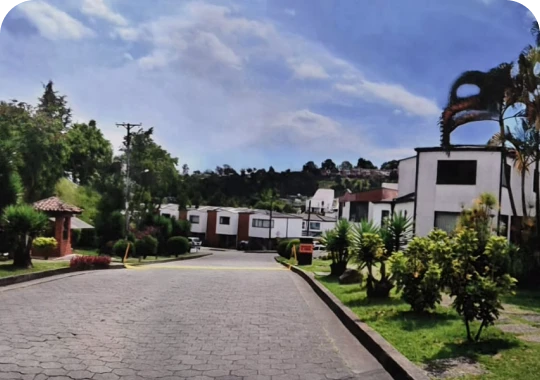 Urbanización El Pinar4
